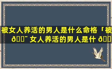 被女人养活的男人是什么命格「被 🐯 女人养活的男人是什 🌳 么命格的人」